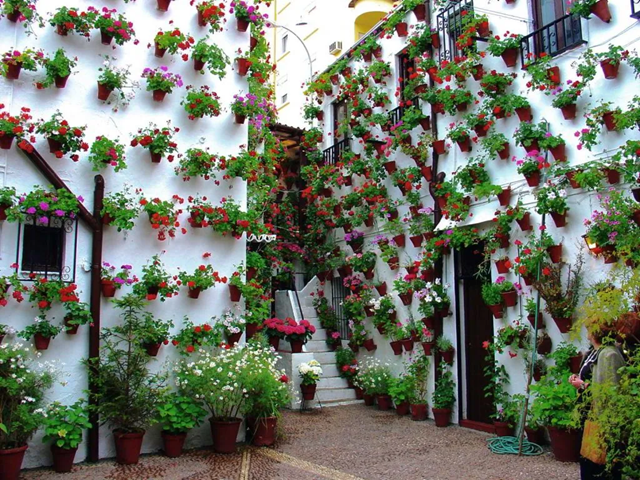 patios cordoba1 1024x768 1